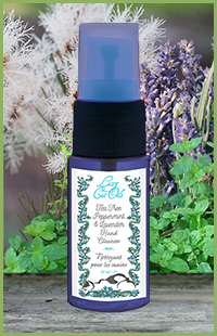 photo of an Hand Cleanser