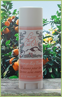 photo of lips product